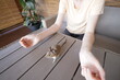 © 4Max - Woman playing with a degu squirrel
