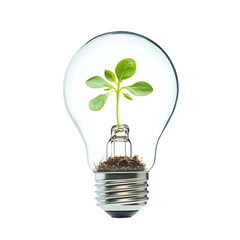 Light bulb with sprout inside isolated on white background green energy concept 