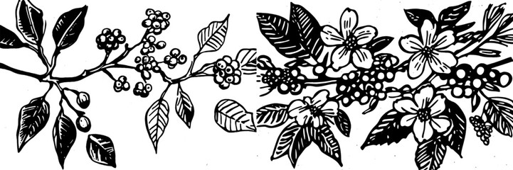 Wall Mural - Illustration of a coffee flower and leaves pattern on a seamless background.