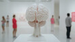 © ArtistryInLight - Anatomical Brain Model in Art Gallery.