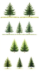 Wall Mural - Various green trees isolated on white background, ideal for design.