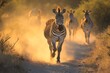 © vasyan_23 - Zebras running through dusty sunset landscapes in african savanna