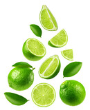 Lime isolated set. Collection of whole lime, half and slice of lime on a transparent background.