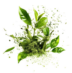 PNG Exploding green tea explosion leaves plant.