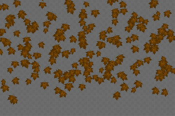 Wall Mural - Isolated colorful leaves on a transparent background. Vector illustration