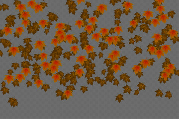 Wall Mural - Beautiful falling leaves on a black background. Autumn leaves of different colors and sizes. Isolated colorful leaves on a transparent background. Vector illustration