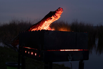 Firewood is burning in the barbecue