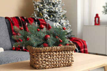 Canvas Print - Fir tree branches with Christmas balls in basket on table near sofa in room