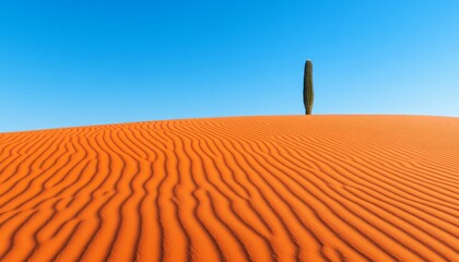 A single cactus stands tall on a red sand dune under a clear blue sky.