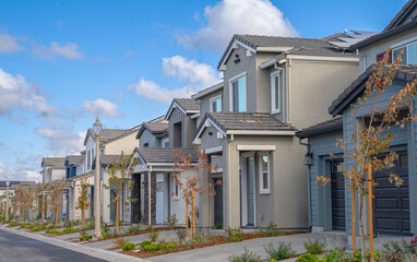 Wall Mural - Row of newly built rental homes in Northern California. Suburbs, single family homes,