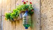 © Chanchai - Medium shot of flowerpot made from plastic bottle hanging on schoolchildren-made wall
