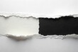 © Chanchai - Minimalist white and black torn paper on white background