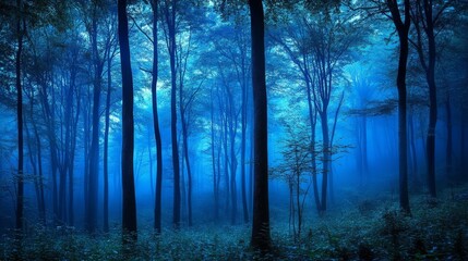  Ethereal Blue Forest Landscape in Fog