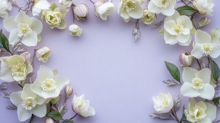 Poster - White flowers with green leaves and stems are arranged around the edge of a lilac background, leaving an empty center.