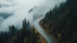 © Maximilian - Serene Curved Road Surrounded by Misty Forest Landscape
