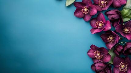 Poster - Delicate purple flowers with intricate details are artistically arranged along the edge of a vibrant blue background. The soft lighting enhances their beauty, creating a captivating visual appeal.