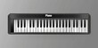 © zhuan - Vector Icon of Piano Keys in Flat Style with Text ‘Piano’, Black and White Color Palette, Grey Background
