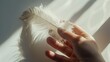 © Feroz - A human hand gently holding a fluffy white feather, with intricate feather details and soft shadows on a bright white background.