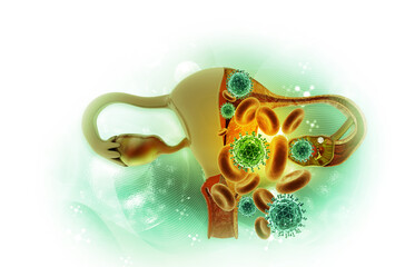 Female uterus virus, bacterial infection concept. 3d illustration..