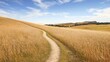 © ShStock - Abstract nature background depicting a dried path winding through a grass field, creating a serene atmosphere, with ample copy space for your creative use.