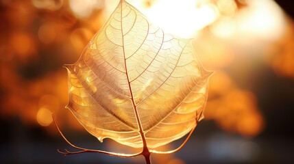 Sticker - intricate fall leaf background transparent