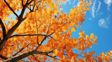 Canvas Print - yellow autumn leaves graphic