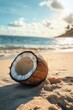 © Goncharenko - Coconut on beach with ocean