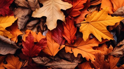 Wall Mural - foliage dried leaves