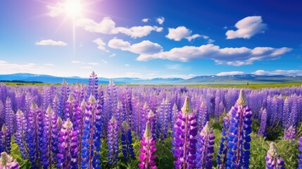 Poster - purple spring flowers blue sky