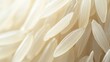 © matoya - Close-up of White Rice Grains