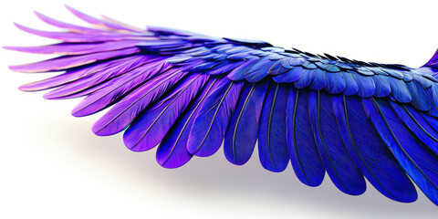 A wing of a bird with blue and purple feathers