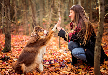 Loving young woman with her shepherd Australian on fall season