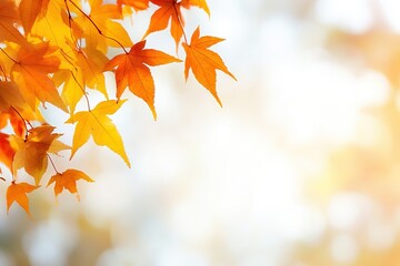  turning leaves to gold , with ample copy space for text.