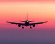 © Aniwat - Jet Aircraft Ascending in Fiery Sunset Sky