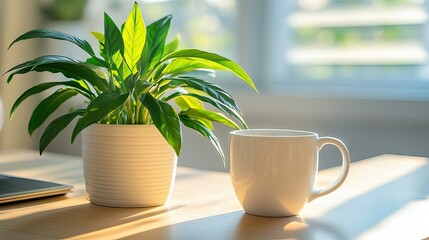 Wall Mural - Coffee cup placed beside a home plant on a desk, creating a cozy working atmosphere at home during a period of lockdown. Coffee cup and home plant offer a serene workspace vibe.