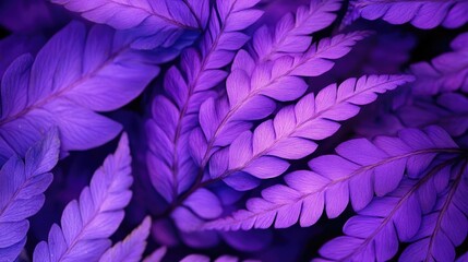 Wall Mural - Close-up image of vibrant purple fern leaves, capturing their intricate details and textures. The purple fern leaves create a stunning visual with ample copy space.