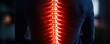 © Tin - Human spine glowing with energy, dark background, health and wellness concept.