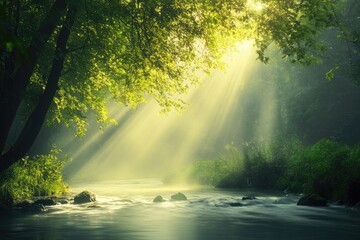 Wall Mural - Sunbeams Illuminating a Misty Forest River