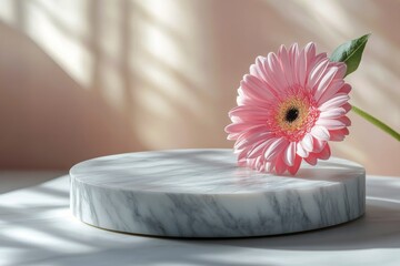 Canvas Print - Soft pink flower displayed on a round marble stand against a warm, light background