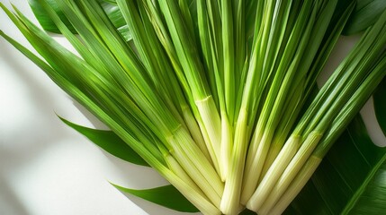 Wall Mural - Green and Fresh Pandan Leaves Arranged on White Surface