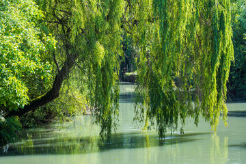 Wall Mural - Sile River Natural Park