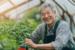 © O - Smiling senior korean man with beard in apron in greenhouse. Happy asian mature male farmer on the organic vegetable local farm at countryside. Natural and eco food photo