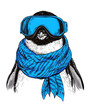 © paffy - Illustration of a penguin wearing blue ski goggles and a matching scarf. Concept of winter fun and outdoor activities in a whimsical style.