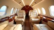 © Trust Fish - Elegant Luxury Jet Interior Featuring Leather and Wood Finish