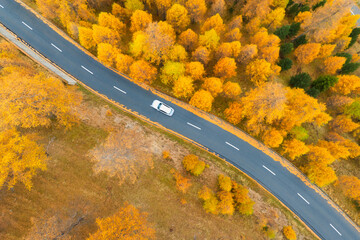 Wall Mural - drone view of a road with curves. asphalt road in the middle of the forest. autumn landscape from th