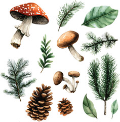 vector set of forest botanical watercolor set with mushrooms, leaves and pine cones on white