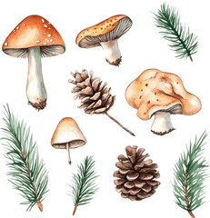 vector set of forest botanical watercolor set with mushrooms, leaves and pine cones on white