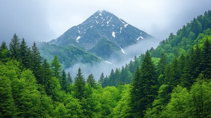 Wall Mural - Majestic mountain peak rising above a dense green forest with mist and clouds.