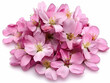 © LakenDesign - A pile of delicate pink cherry blossoms arranged aesthetically.
