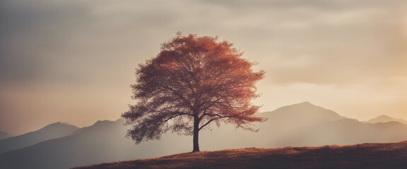 Wall Mural - a lonely colorful tree on hill with mountain forest